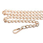 Master Series Chain Leash - Black/Gold